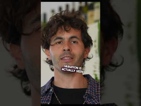 Como escolher vinho em um restaurante, as 3 melhores safras para o vinho Piemonte #wine #vino #sommelier #howto