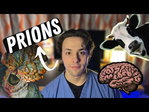 Prion disease: Zombies, Cows, and Cannibalism