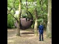 Vitalic - Stamina 