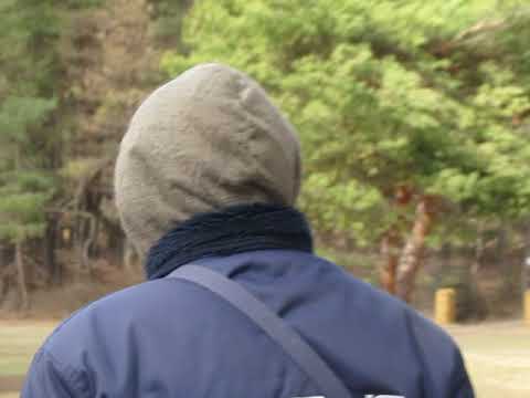 Cross fontainebleau amateur 3