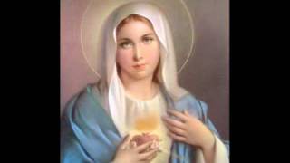 Ave Maria - The Priests