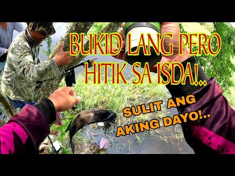 P2 GRABE HITIK PALA SA ISDA ANG BUKID NA SPOT NILA /Airgun Fishing /Fishgunerong Madiskarte