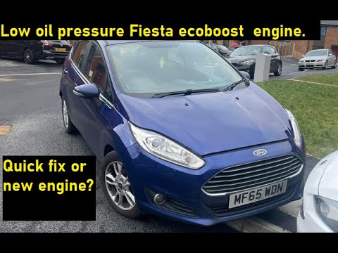 Ford Fiesta 1.0 Ecoboost part 1 death rattle, can it be saved?  or is a new engine required?