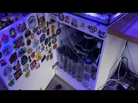 Switching to GHL Profilux 4 Controller!