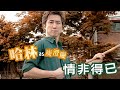 庾澄慶 情非得已 (Official Video Karaoke)