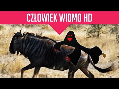 Człowiek Widmo HD