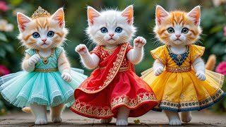 Download lagu Episode 237: Jumping Cats mp3 Download lagu Episode 237: Jumping Cats mp3