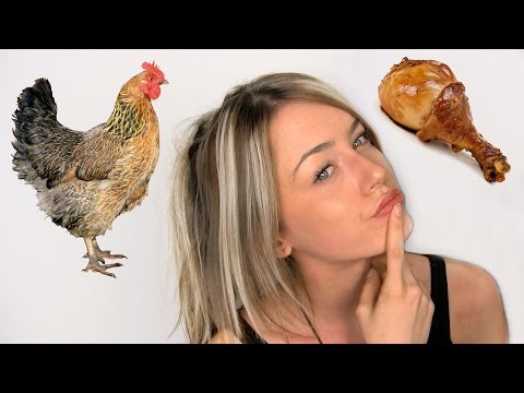 思考的食物 (Food For Thought)