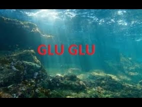 Glu Glu glu