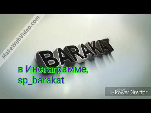 SP BarakaT - Мадина ай чи ками