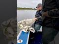 How to PERFECTLY throw a cast net #pennfishing #saltwaterfishing #castnetfishing