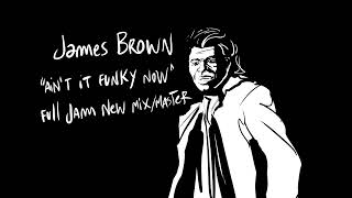 James Brown   Ain&#39;t it funky now
