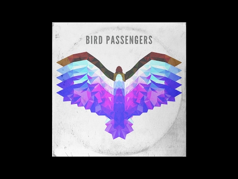 Bird Passengers - Running Out of Time