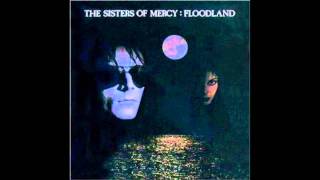 The Sisters of Mercy - Lucretia My Reflection (Floodland album)