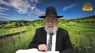 דף היומי בחצי שעה - קידושין דף נ"ב