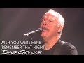 David Gilmour - Wish You Were Here (Remember That Night)