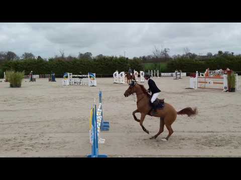 Urvoso du Roch au Grand National d'Auvers (95)