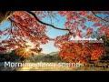 Morning Alarm Sound Wake Up Sound Ringtone