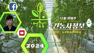 ✨[ 주간농사정보 ] 12월 셋째주 (2024. 12. 16. ~ 12. 22.)