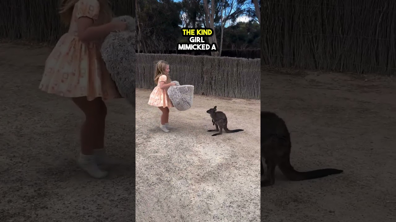This Baby Kangaroo Lost its Mom so this Girl helped it❤️