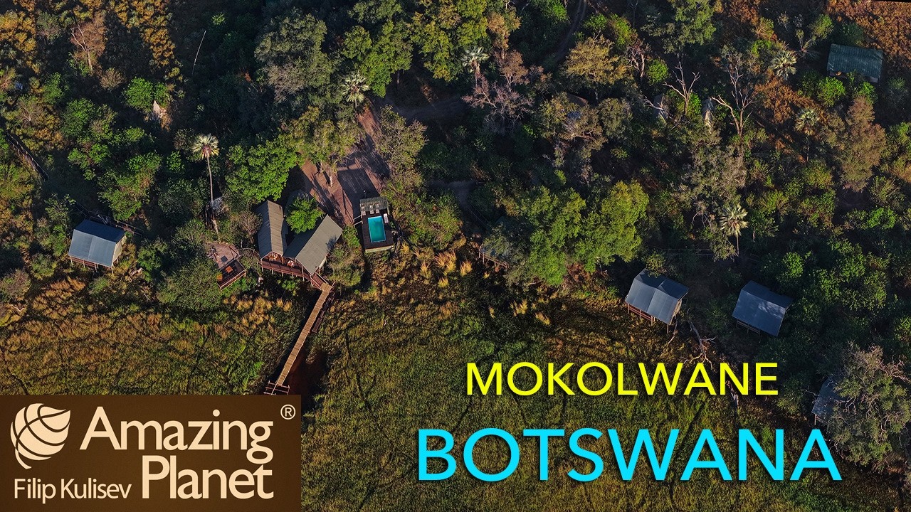 Mokolwane Camp, Botswana: Amazing Planet (4K) 2026