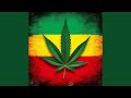 Roots And Culture