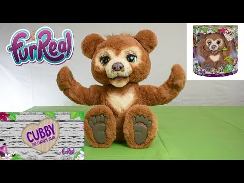 cubby the curious bear tea party