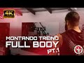 MONTANDO TREINO - FULL BODY - PT1