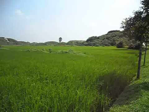 Kakuli Village scenario 4