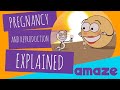 Pregnancy and Reproduction Explained