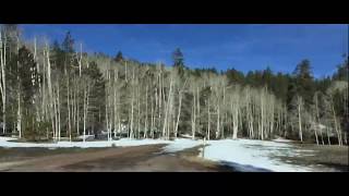 (sandy) alex g - alina