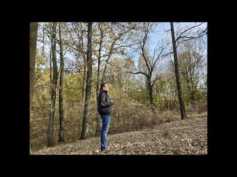 Ioan Man   Ana, zorile se varsa! powered by I& D Production