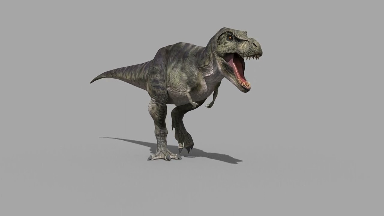 Accurate T Rex 8K - fully animated 3D Model