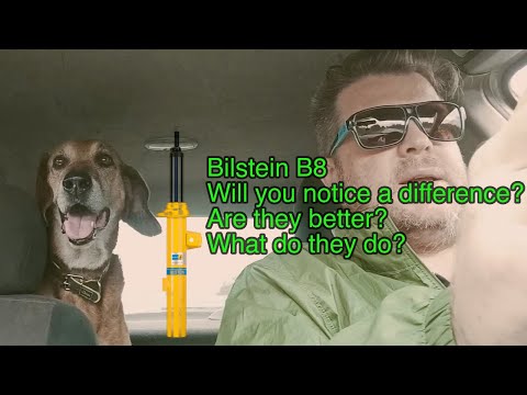 Bilstein B8 - Are they worth the money?