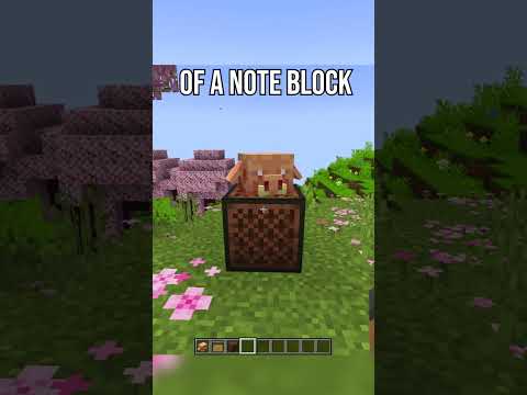 What's Actually In Minecraft 1.20 ??? #shorts