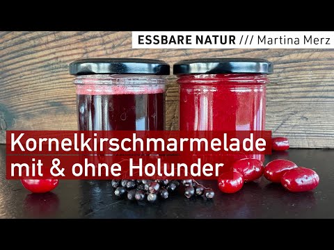 High yield: Delicious jam and wild fruit jelly made from cornelian cherries with & without elderb...