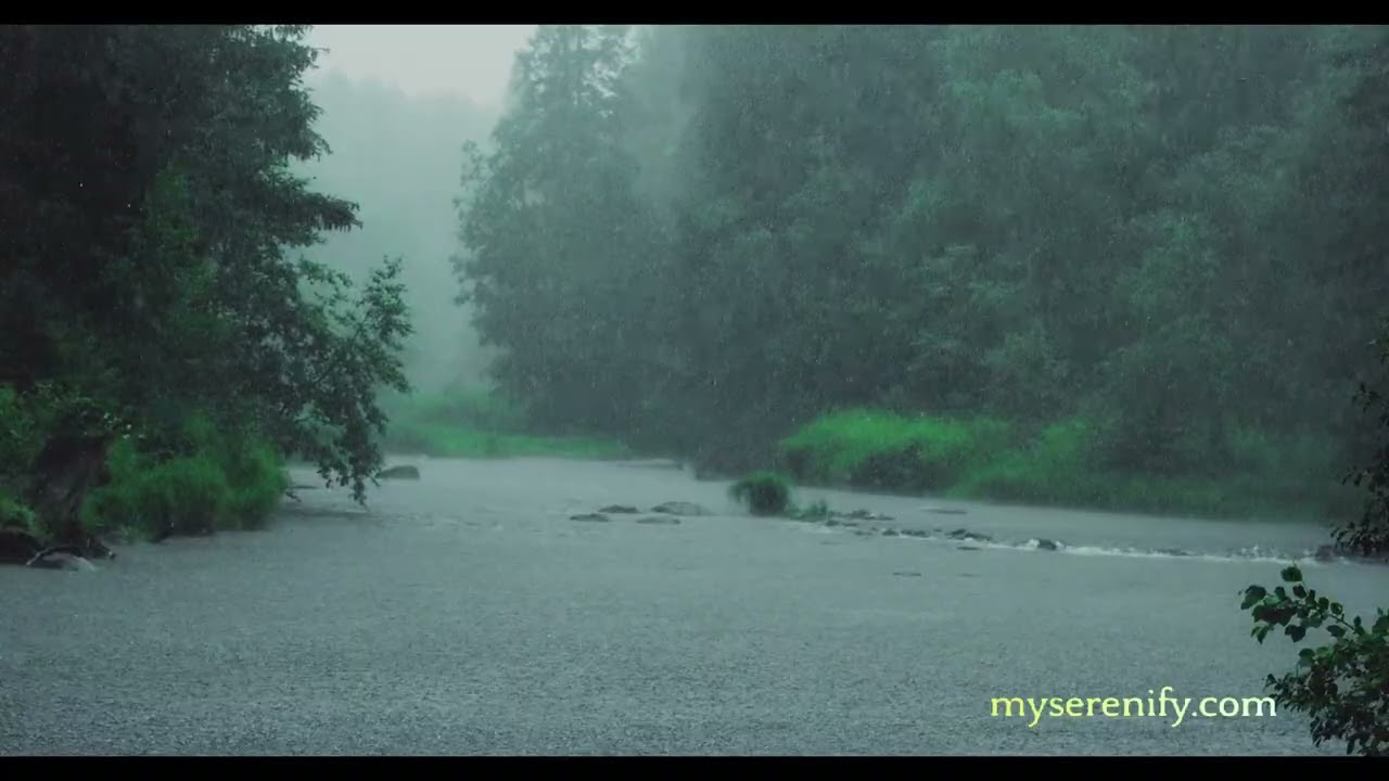 Exploring AI Meditation: Insight Meditation Enhanced by Technology