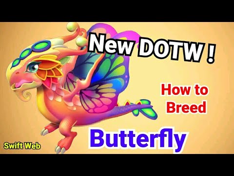 New DOTW | Butterfly Dragon | How to breed | Dragon Mania Legends Dml