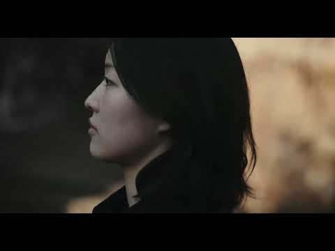 비디오 11