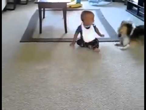 مندالي ئازا.mp4