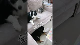 全員集合