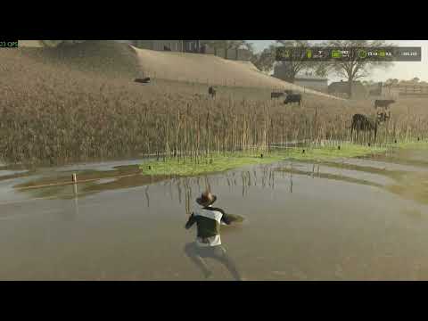 FAZENDA TURVO SANTA CATARINA FS 25 EM 4K.