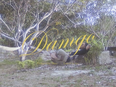JJD - Damgo (Visualizer)