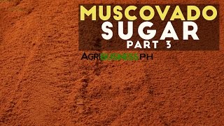 How to cook muscovado sugar : Muscovado sugar Part 3 #Agribusiness