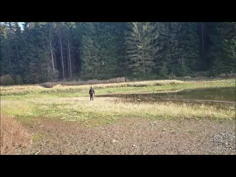 Fritz Meinecke | 50km auf einer Linie | Real or Fake? Streckenleak im Harz