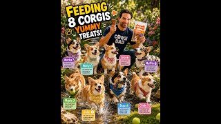Download lagu Nylabone Chicken Dog Treat Bonanza mp3