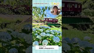 【空のあとがき】駒木キャスターが気になったリポートは？6月10日 #通勤タイパ #駒木結衣
