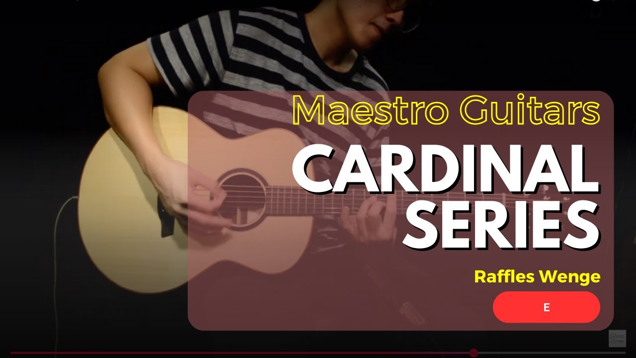 Maestro Cardinal RAFFLES WE Acoustic Electric Guitar w/Gigbag