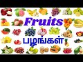 Fruits Name பழங்களின் பெயர்கள் Learn Fruits Names In English And T