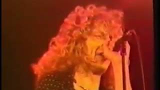 Led Zeppelin LIVE- Knebworth '79- Hot Dog